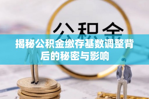 荔城揭秘公积金缴存基数调整背后的秘密与影响
