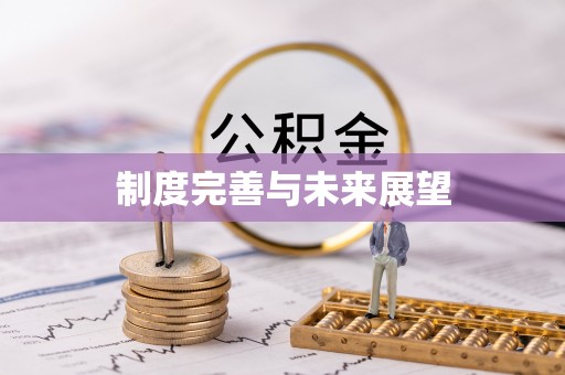 荔城制度完善与未来展望