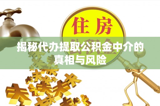 荔城揭秘代办提取公积金中介的真相与风险