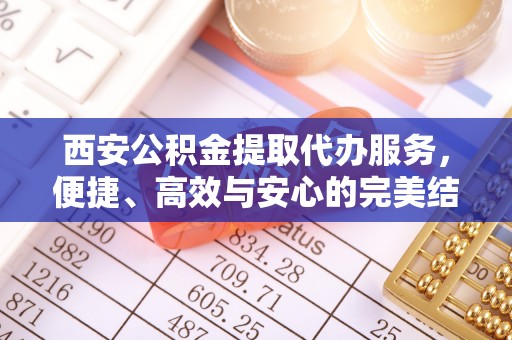 荔城西安公积金提取代办服务，便捷、高效与安心的完美结合