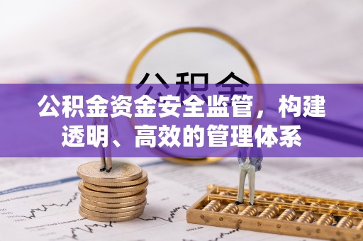 荔城公积金资金安全监管，构建透明、高效的管理体系