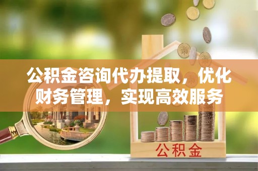 荔城公积金咨询代办提取，优化财务管理，实现高效服务