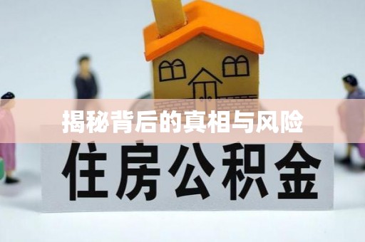 荔城揭秘背后的真相与风险