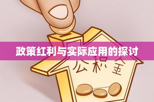 荔城政策红利与实际应用的探讨