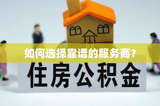 荔城如何选择靠谱的服务商？
