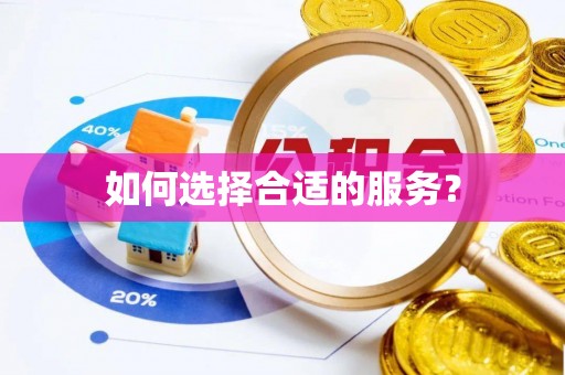 荔城如何选择合适的服务？
