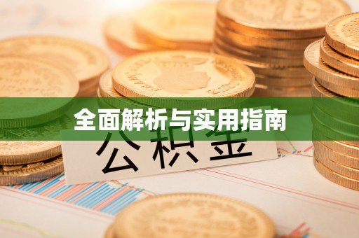 荔城全面解析与实用指南